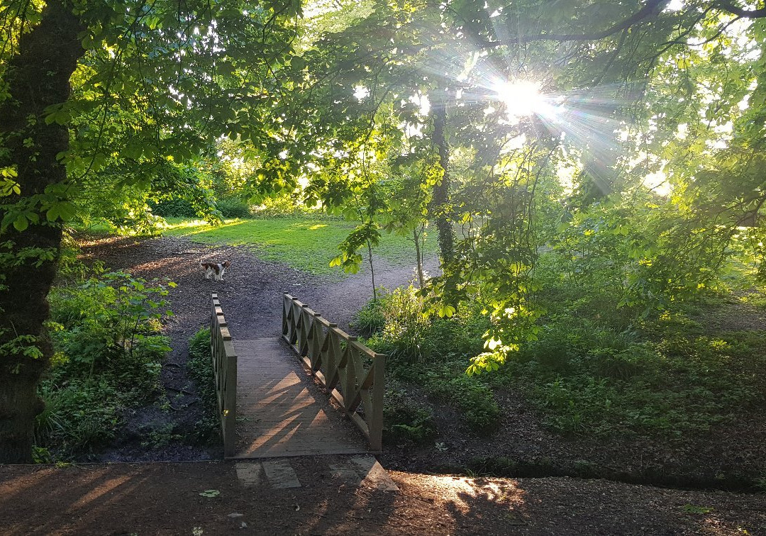 Hurst Grange Park景点图片