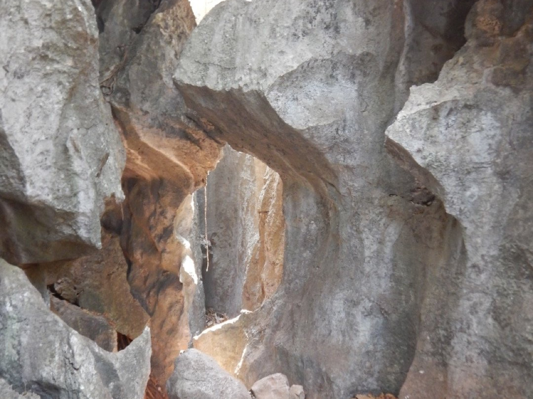 Suan Hin Pha Ngam景点图片
