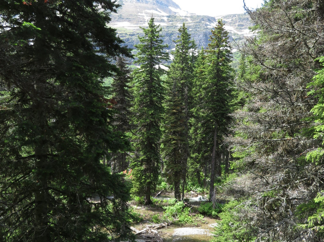Grinnell Lake Trail景点图片