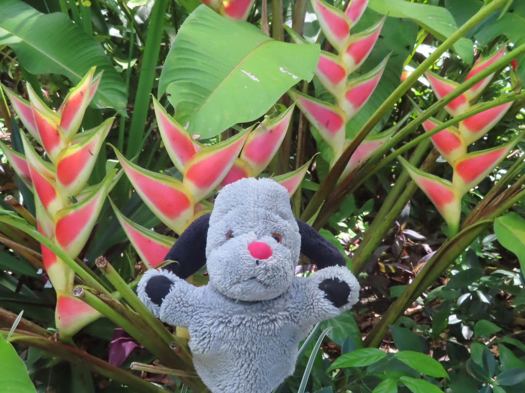 Flower Forest-Saint Thomas Parish必去景点