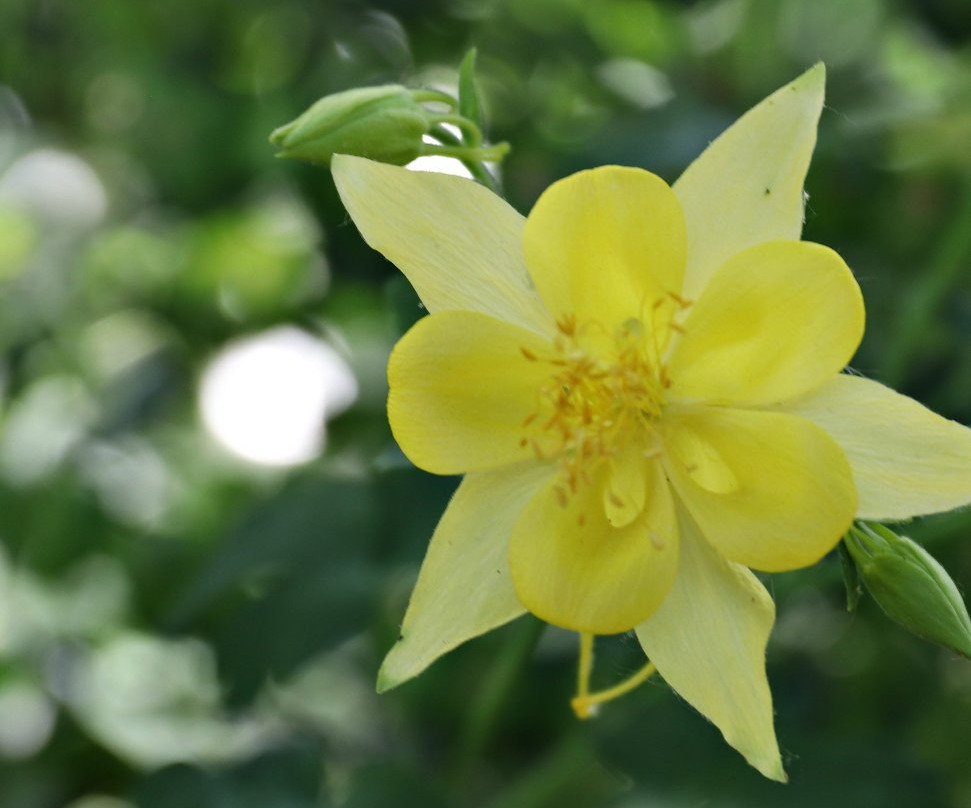 William Land Park-沙加缅度必去景点