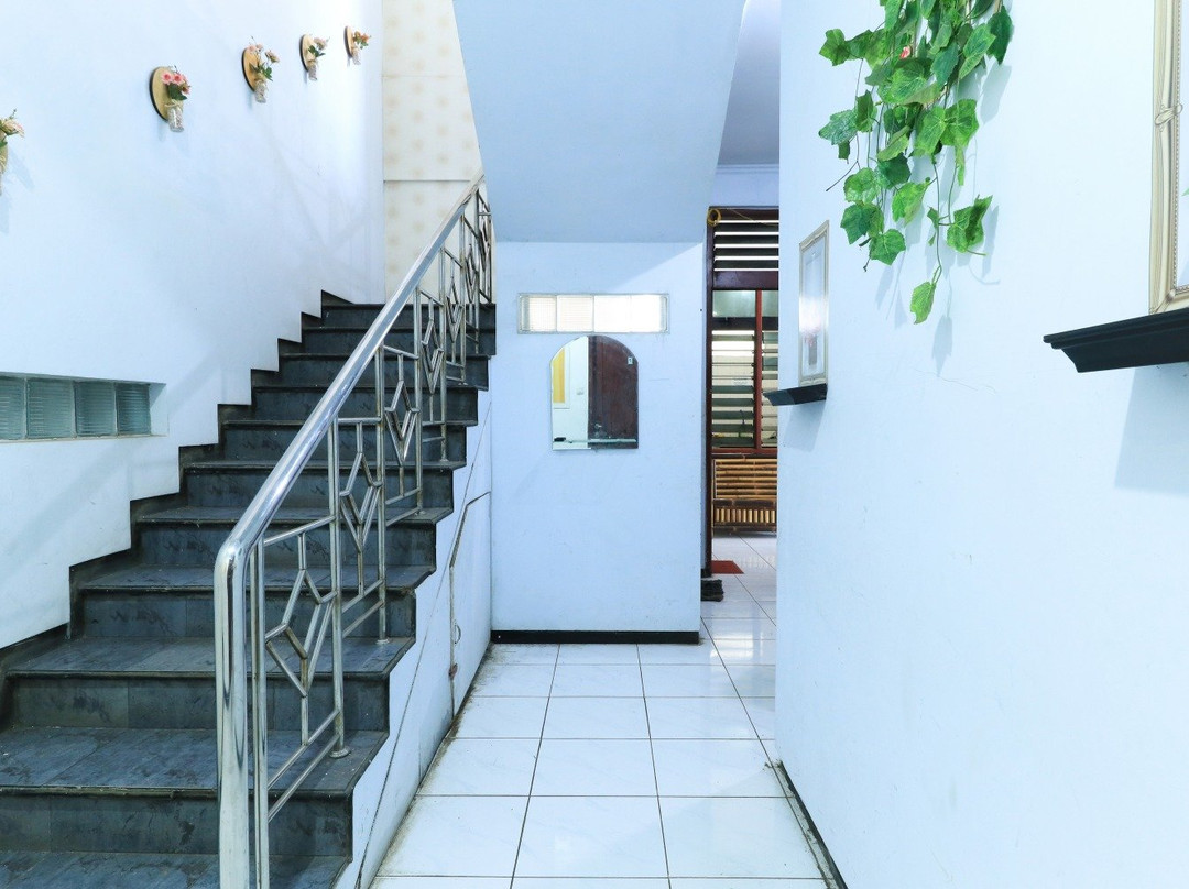 Atmosfera Pakis主图