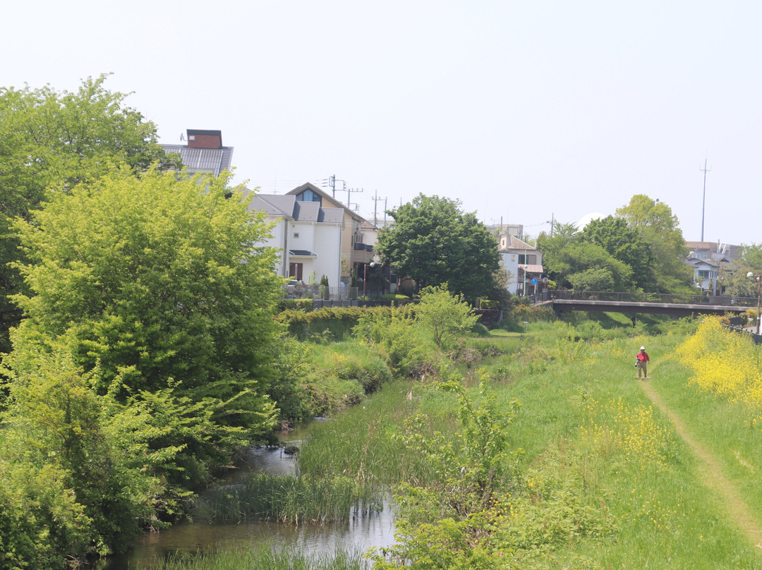 Nogawa River-三鹰市必去景点