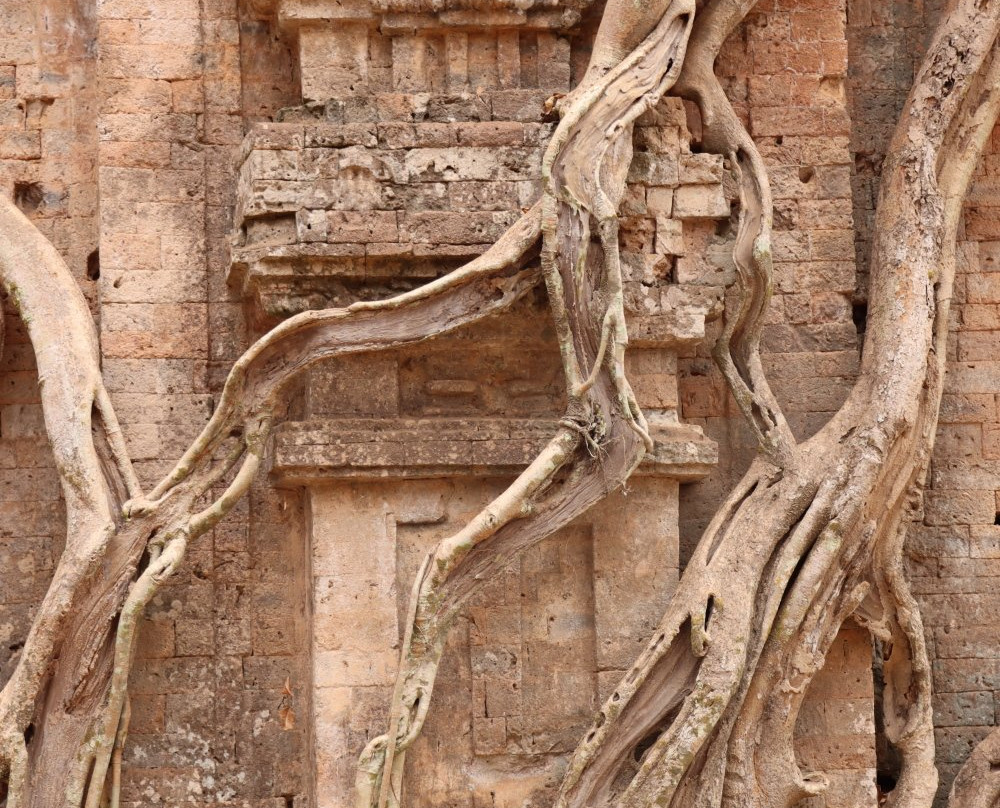 Daem Chrei Temple景点图片