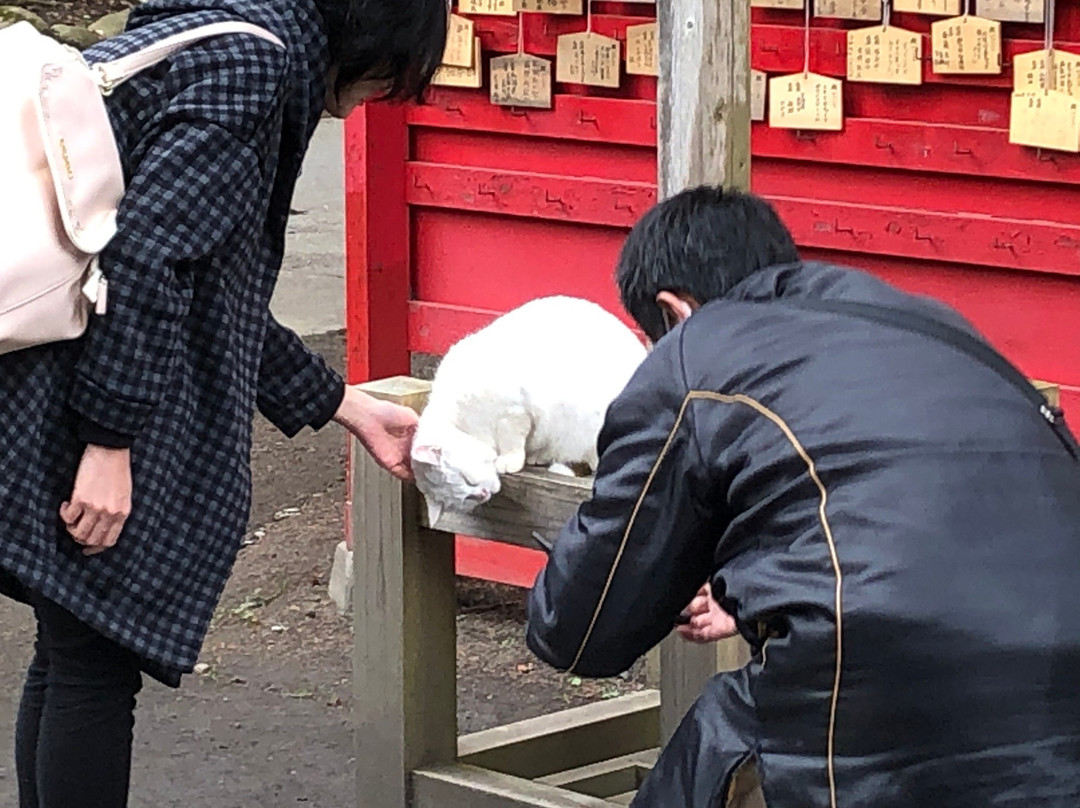 Isasumi Shrine景点图片