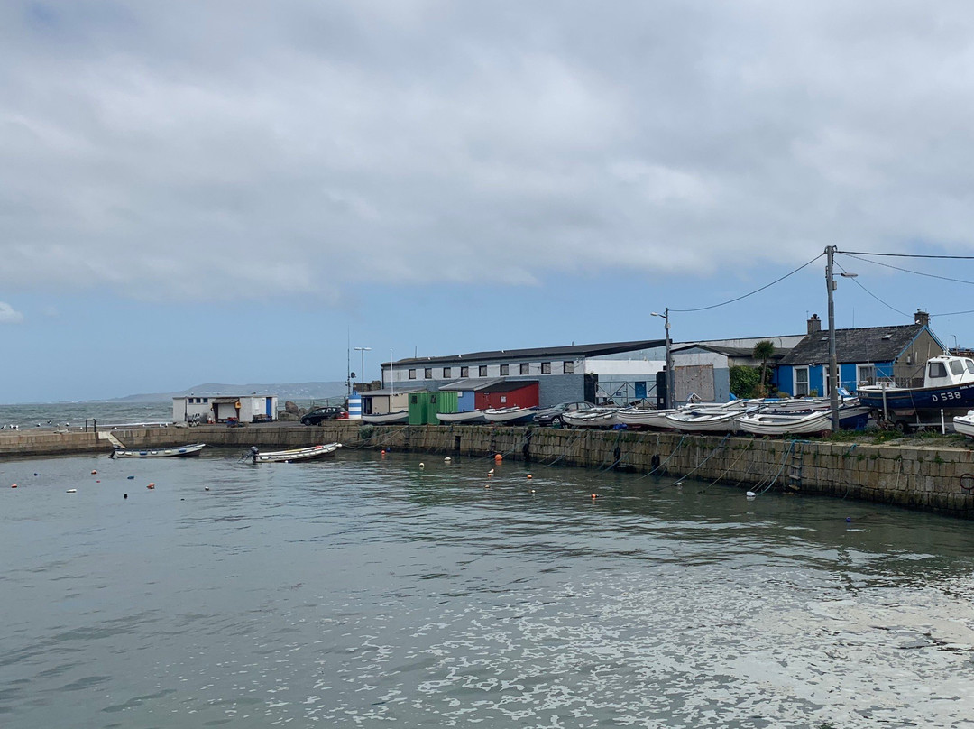 Bulloch Harbour-达尔基必去景点