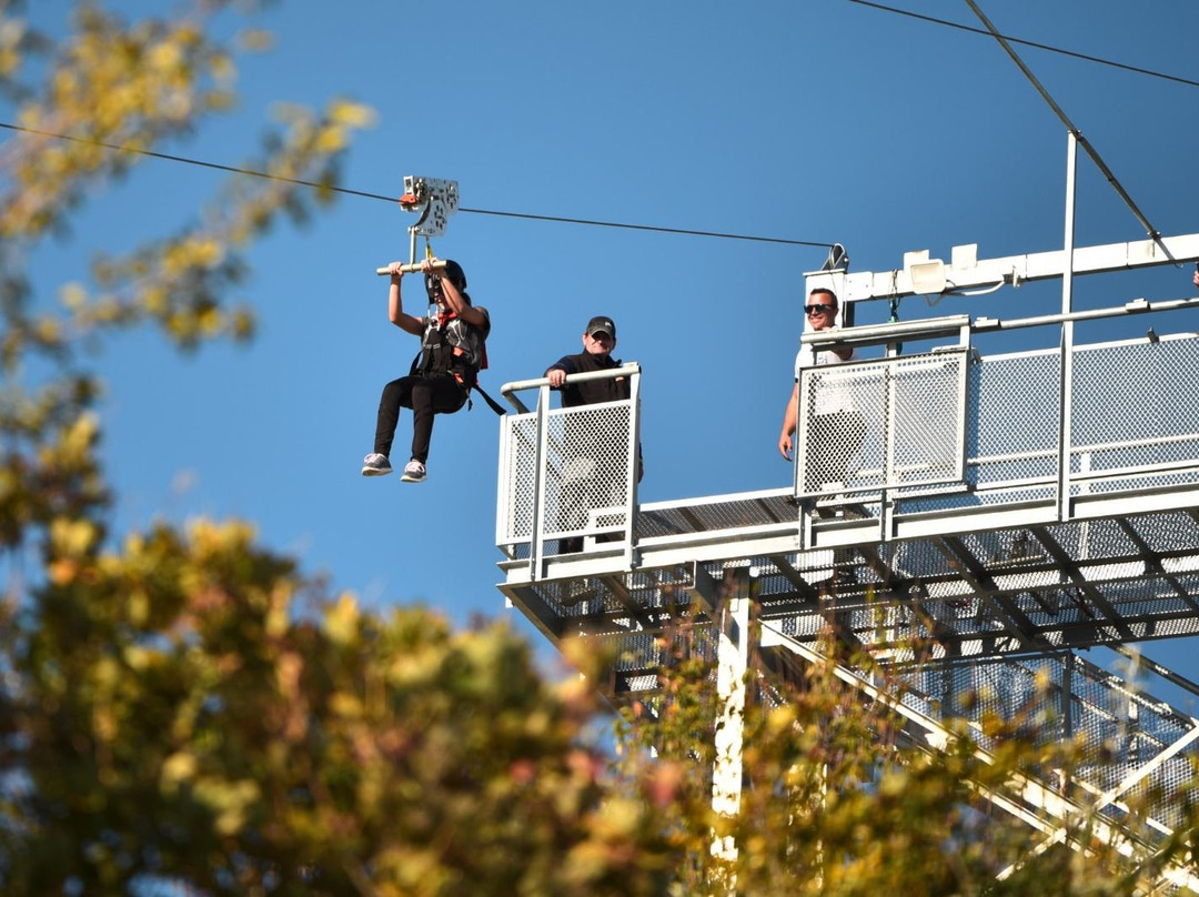 Zip Line景点图片