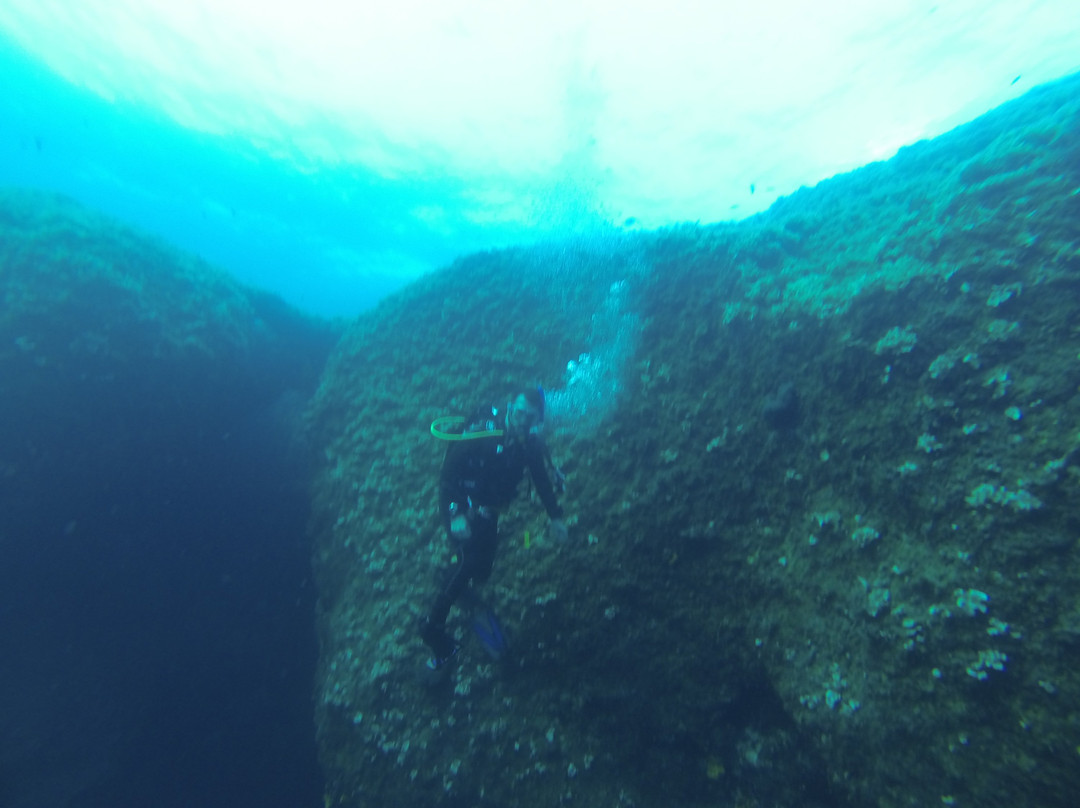 Serenad Dive Center景点图片