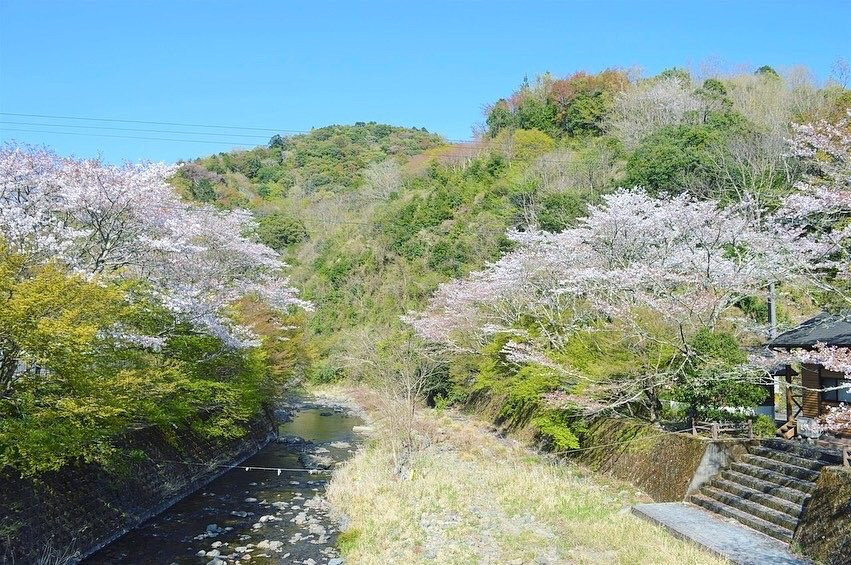 Naokawa Ikoi no Mori Park-佐伯市必去景点