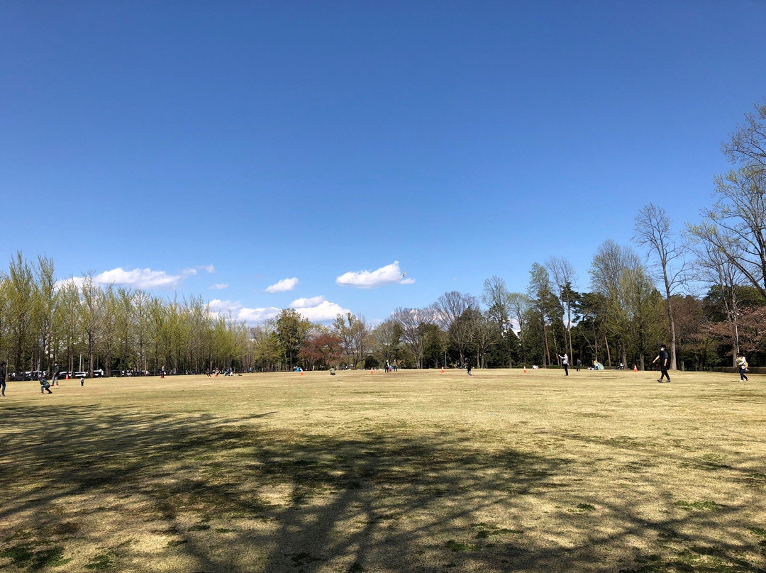Tsukuba EXPO '85 Memorial Park-筑波市必去景点