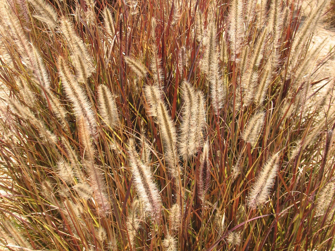 Eshkol Park-贝尔谢巴必去景点