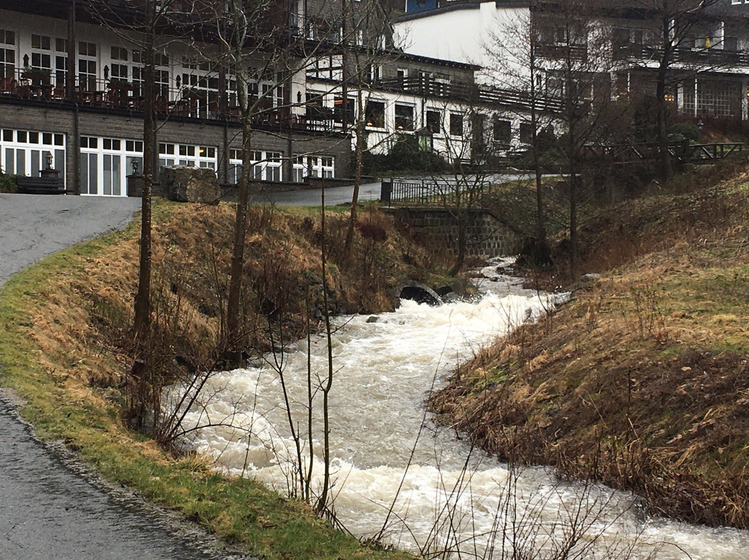 Land und Kurhotel Tommes主图