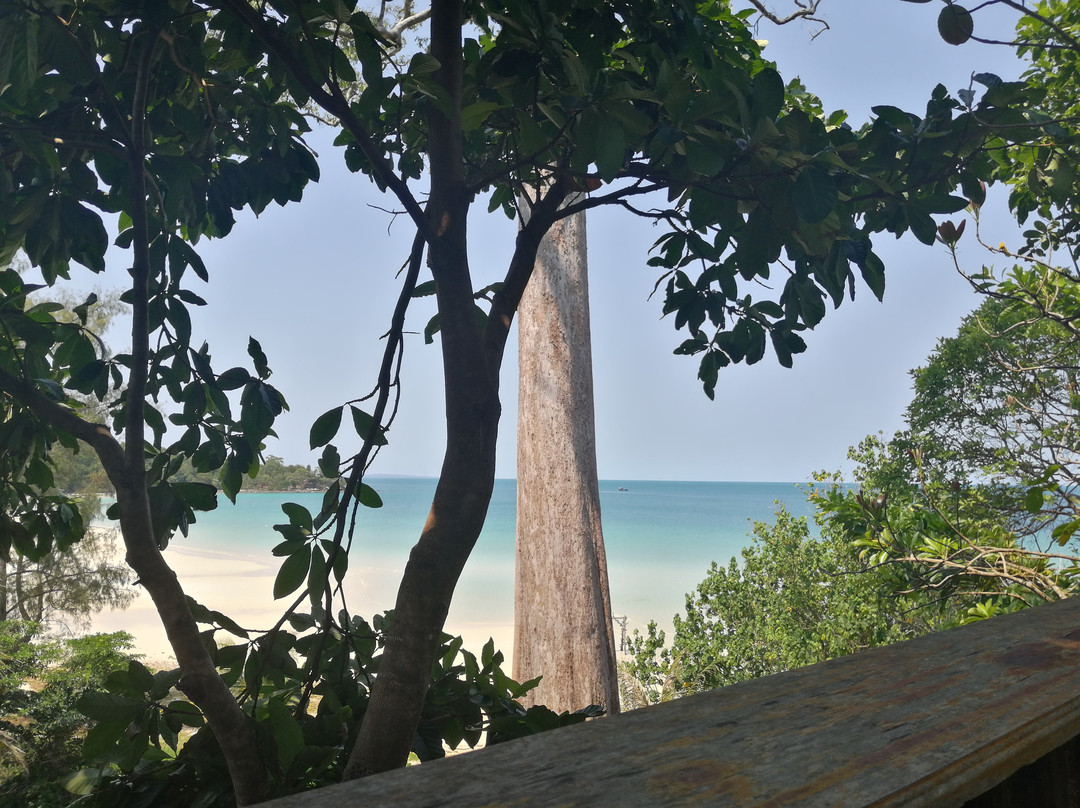 Coconut Beach景点图片