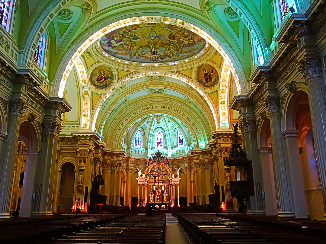 Cathedrale Saint-Francois-Xavier景点图片