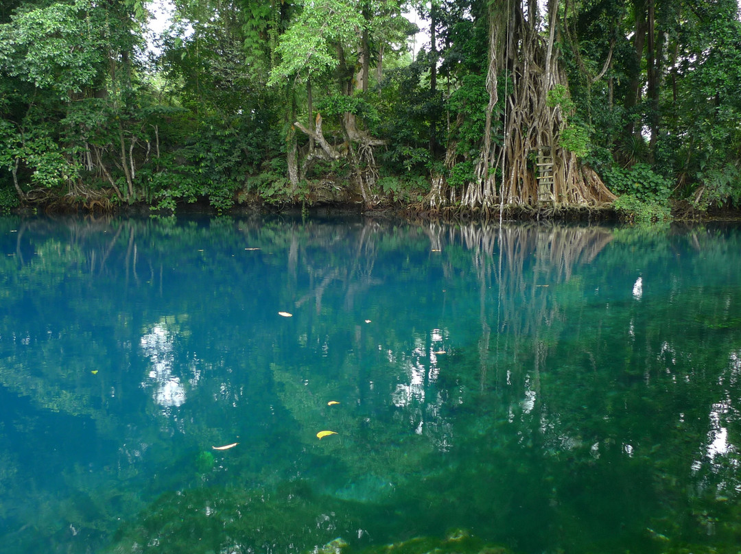 Matevulu Blue Hole-埃斯皮里图桑托岛必去景点