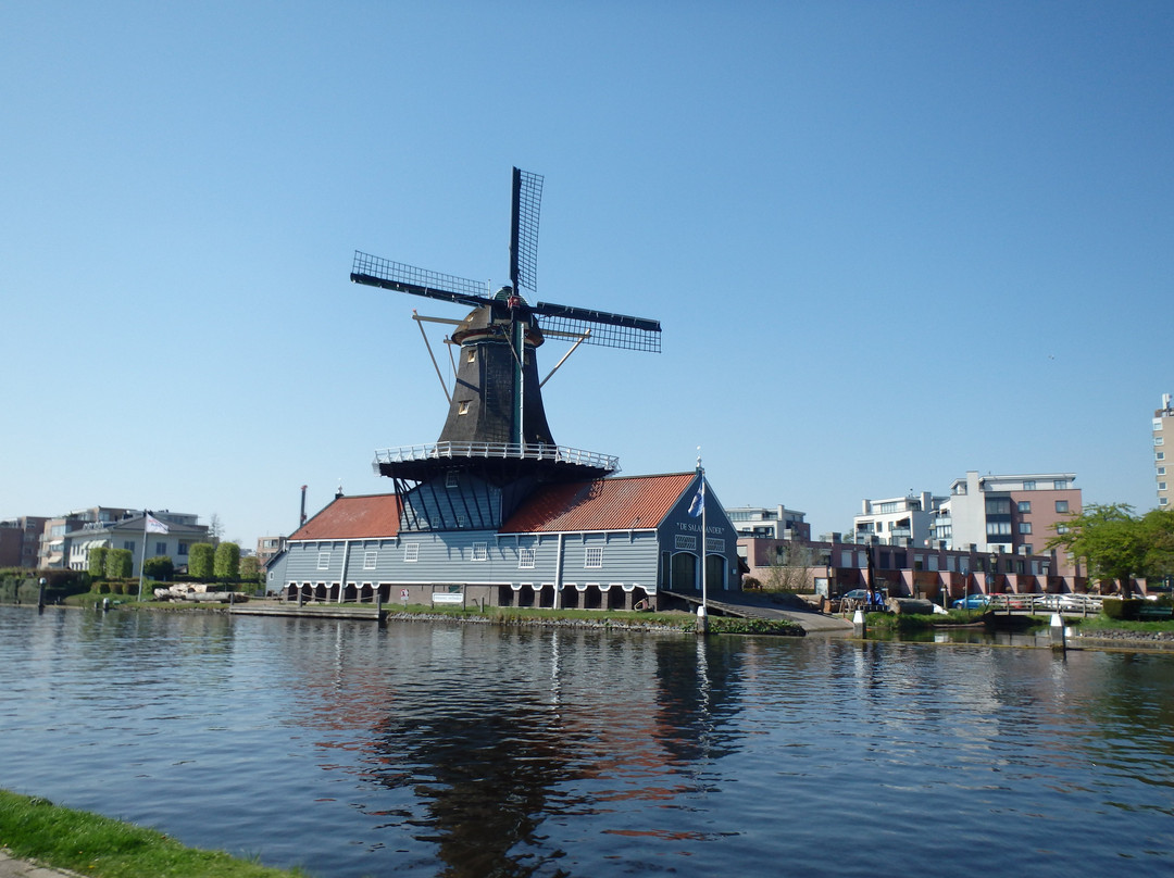 Sawmill de Salamander景点图片