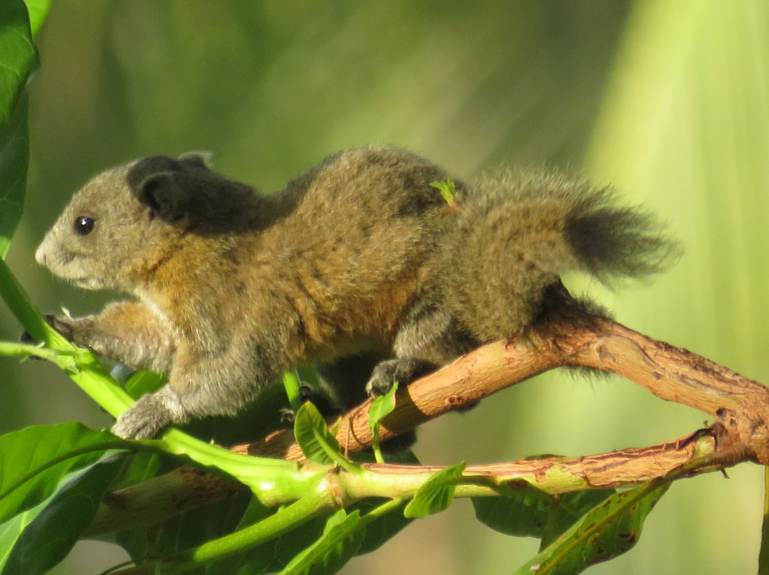 蝉之栈酒店主图