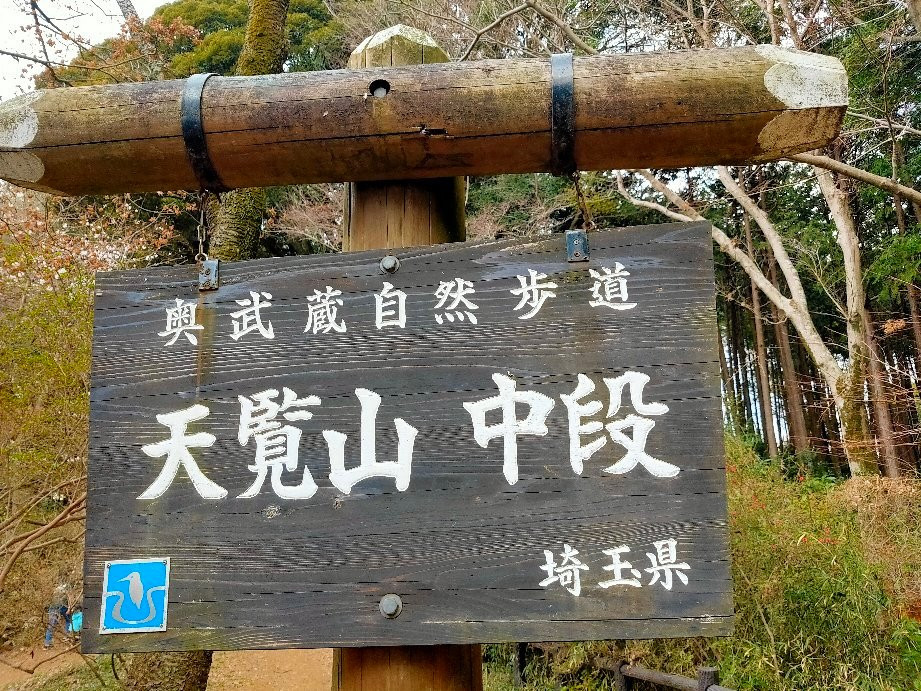 Mt. Tenran-饭能市必去景点