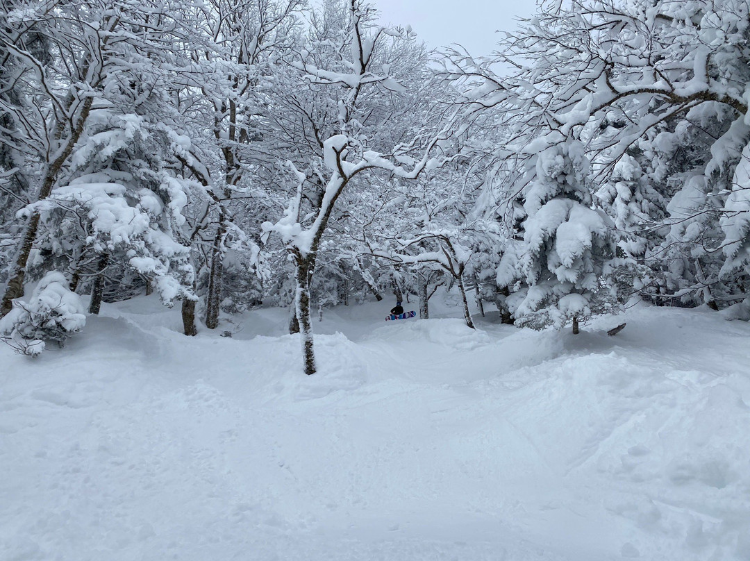 Jay Peak Ski Resort景点图片