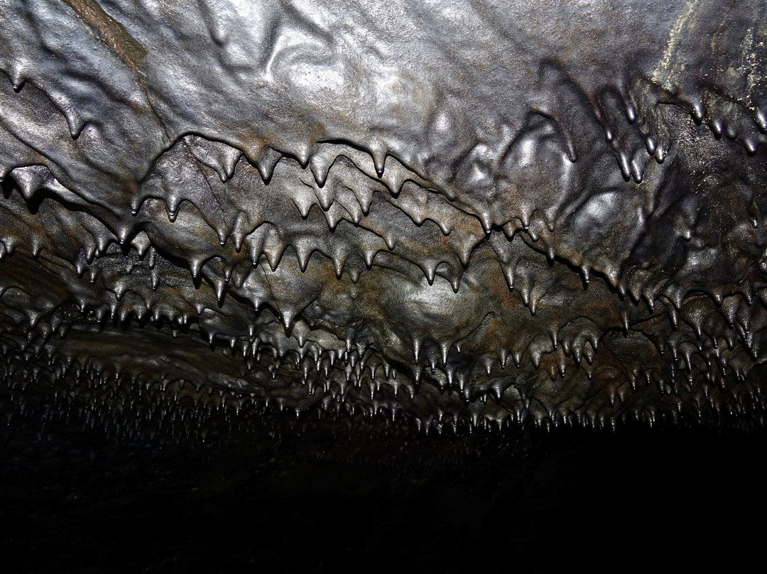 Kilauea Caverns of Fire-柯蒂斯城必去景点