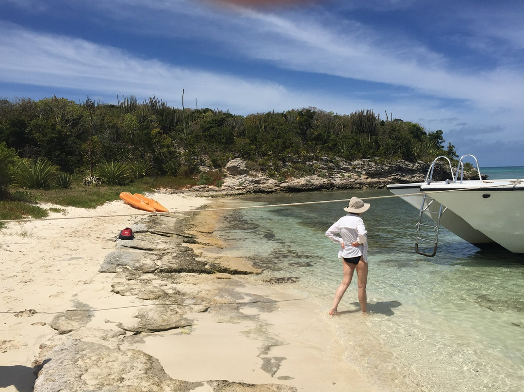Great Bird Island-圣 约翰必去景点