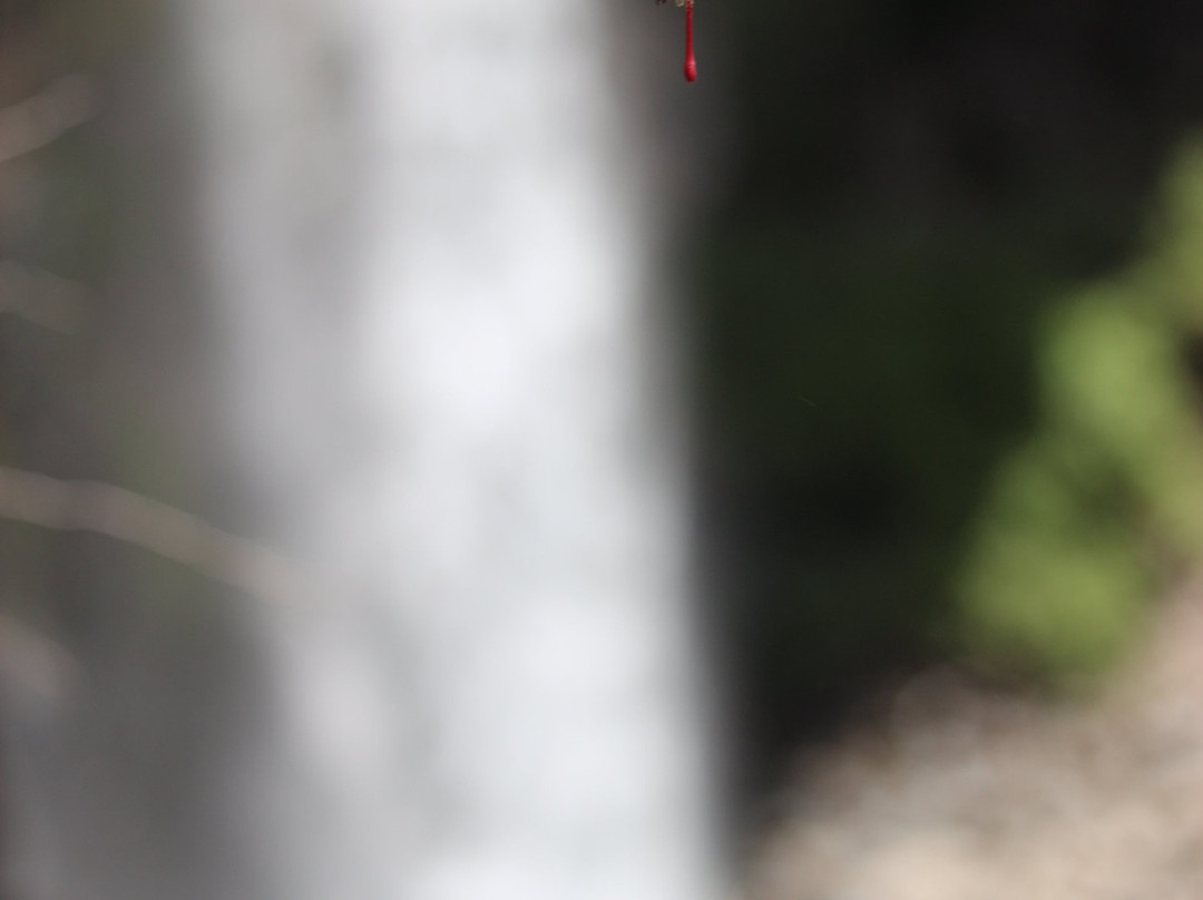 Parque Nacional Radal Siete Tazas-Molina必去景点