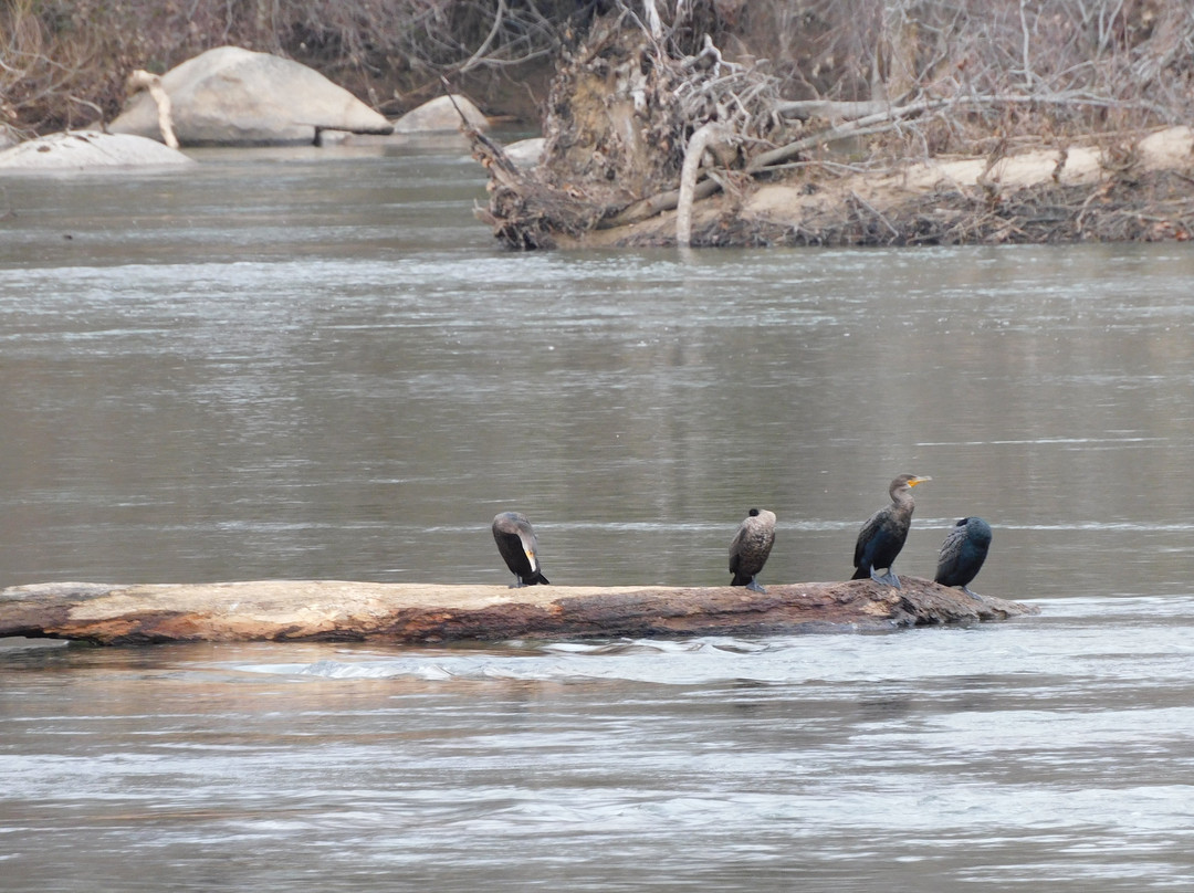 Pony Pasture Park (James River Park System)-里士满必去景点