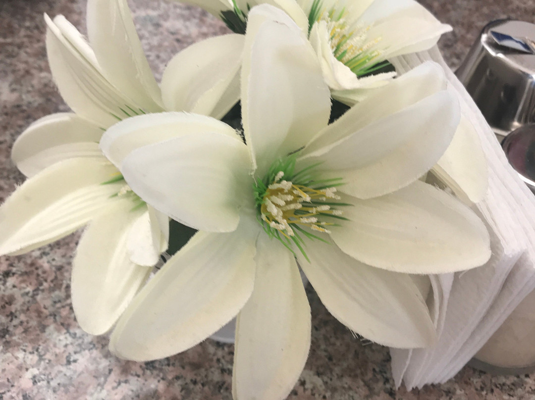 奎雷塔罗扎尔酒店主图