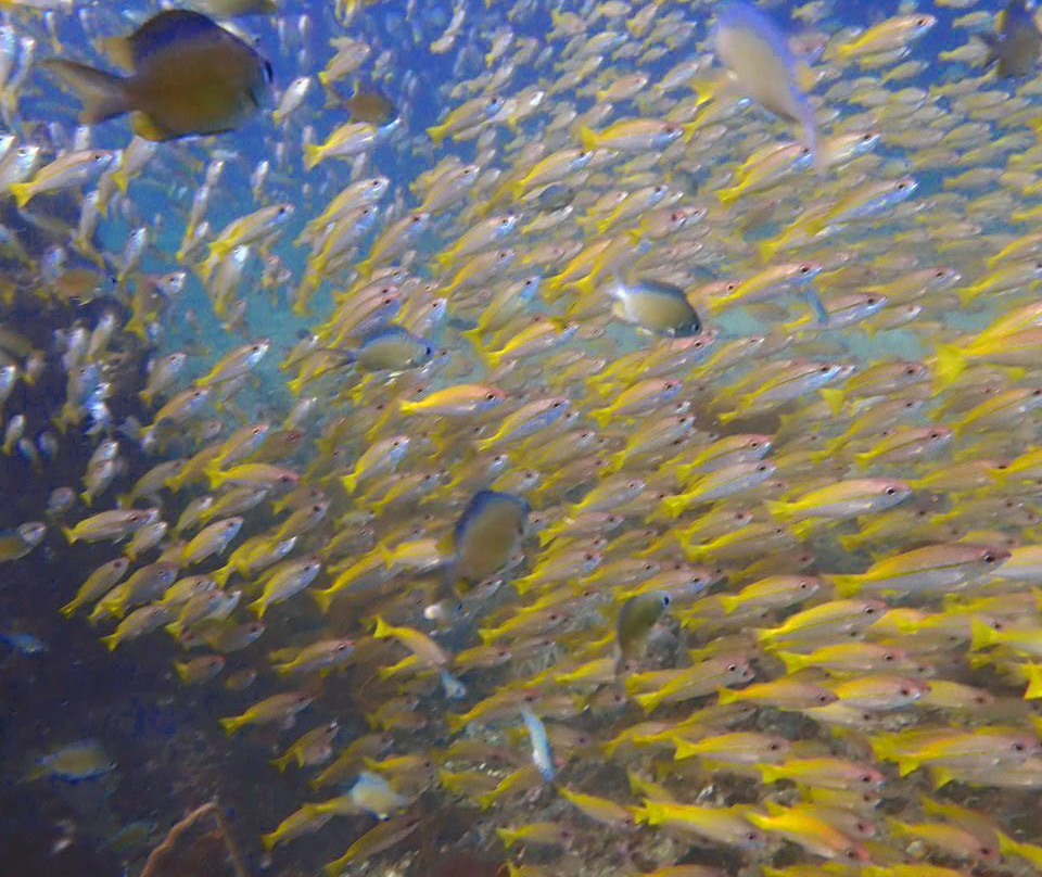 皮皮岛浮潜-大皮皮岛必去景点