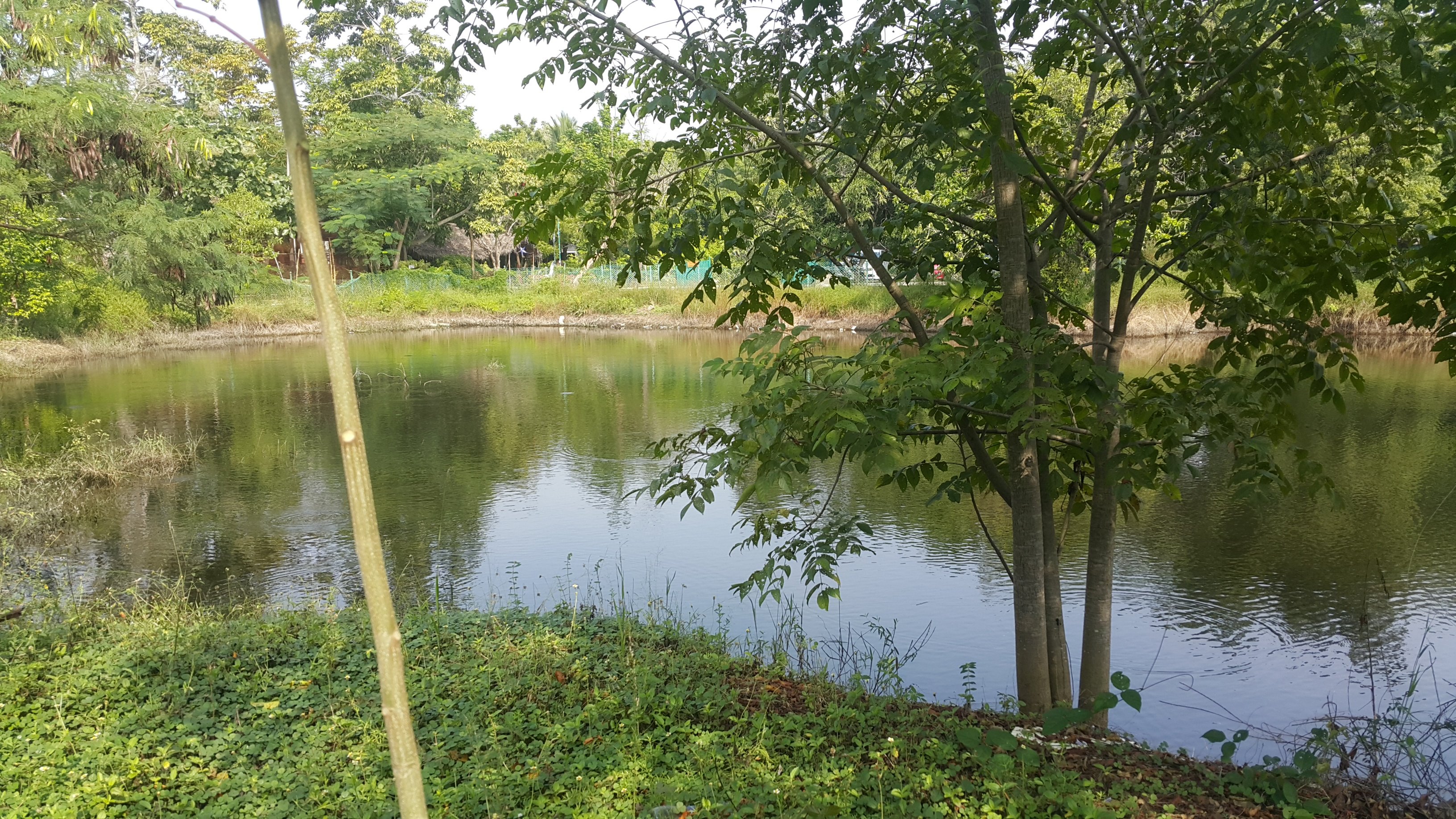 Village Retreat-浴室