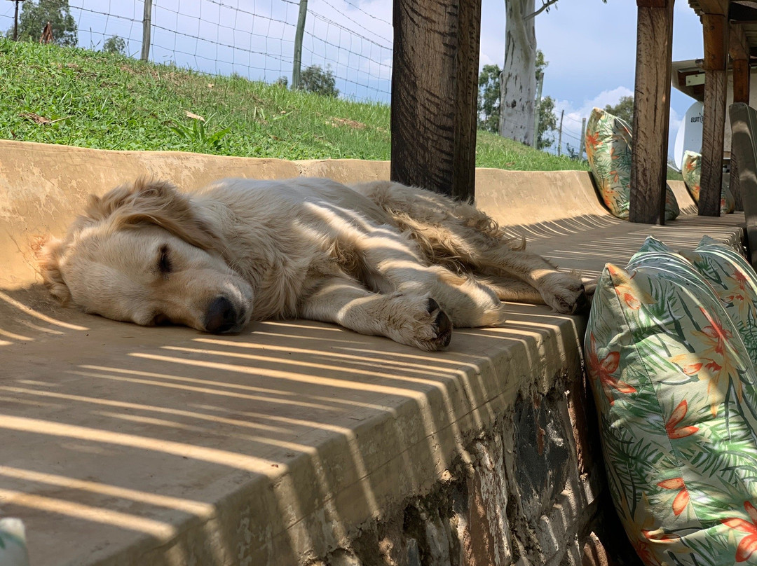 Dalmore Farm Guest House主图