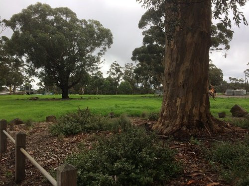 Burnley Park景点图片