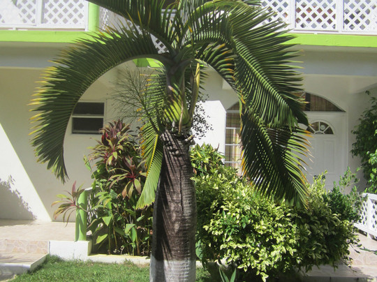 Fun Holiday Beach Resort主图