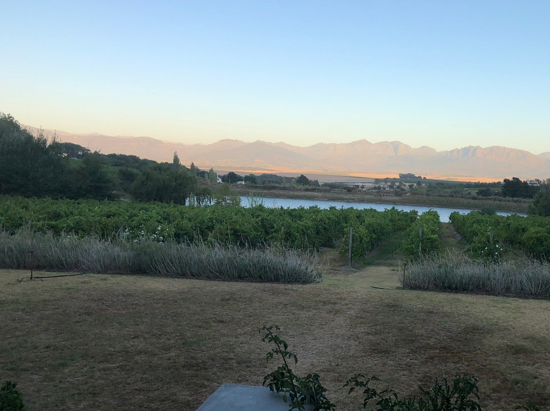 Vondeling Wines-帕尔必去景点