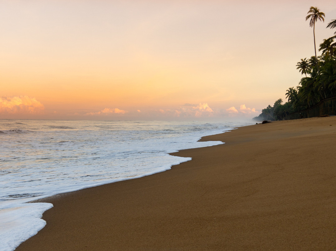 Pearl Of Sri Lanka Travel景点图片