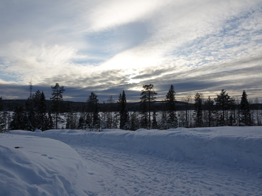 Sirmakko Reindeer Farm-罗瓦涅米必去景点
