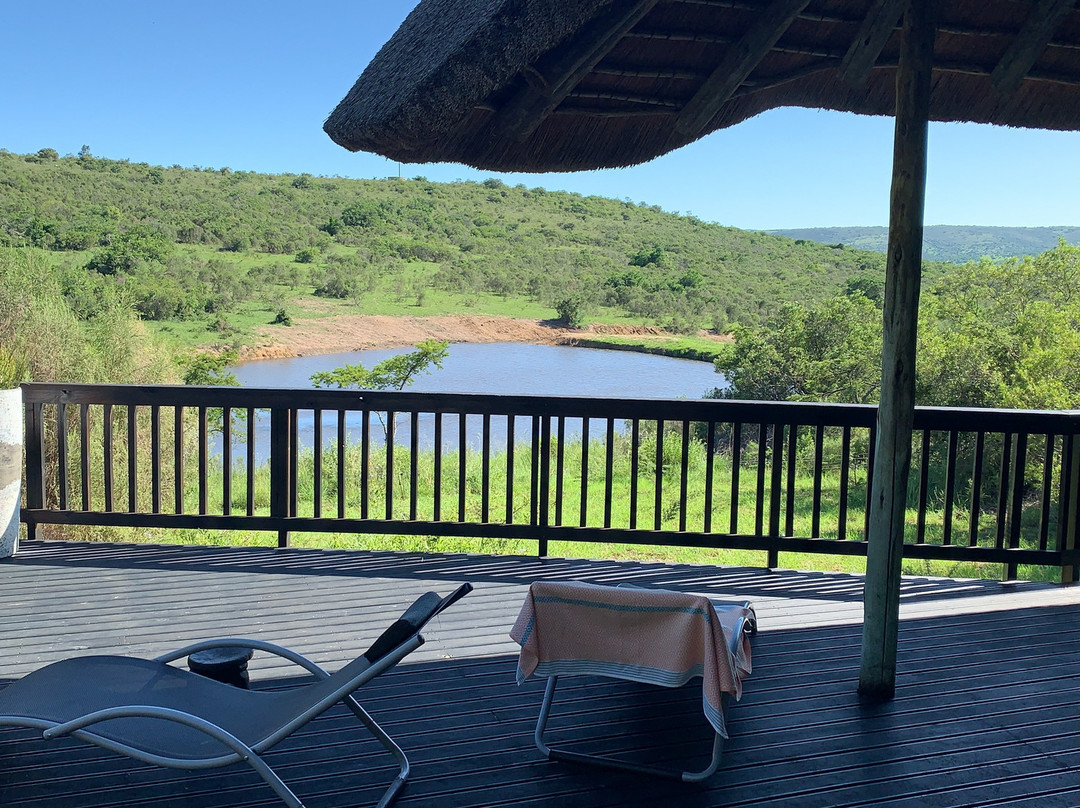 Lalibela Wildlife Reserve Kichaka Lodge主图