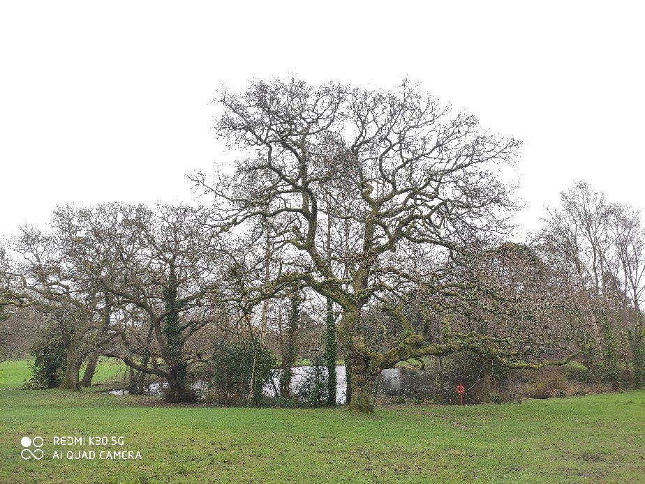 Singleton Park-斯温西必去景点