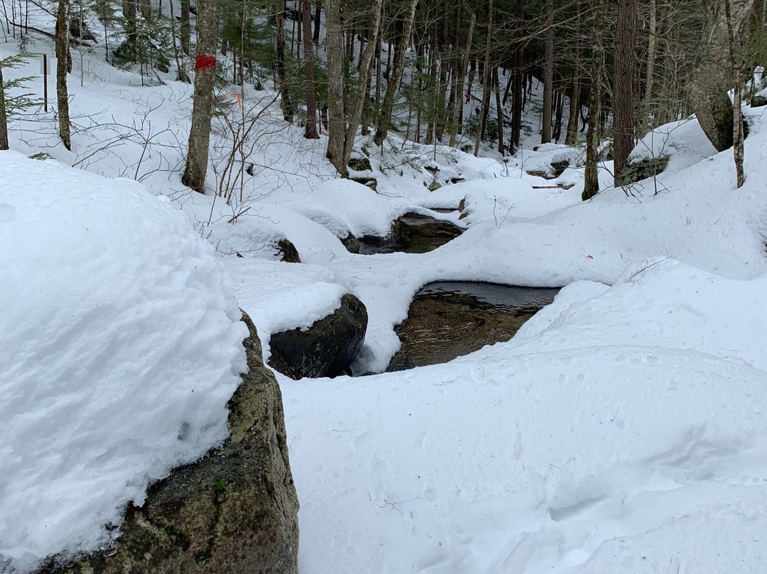 Welch Mountain and Dickey Mountain Loop景点图片