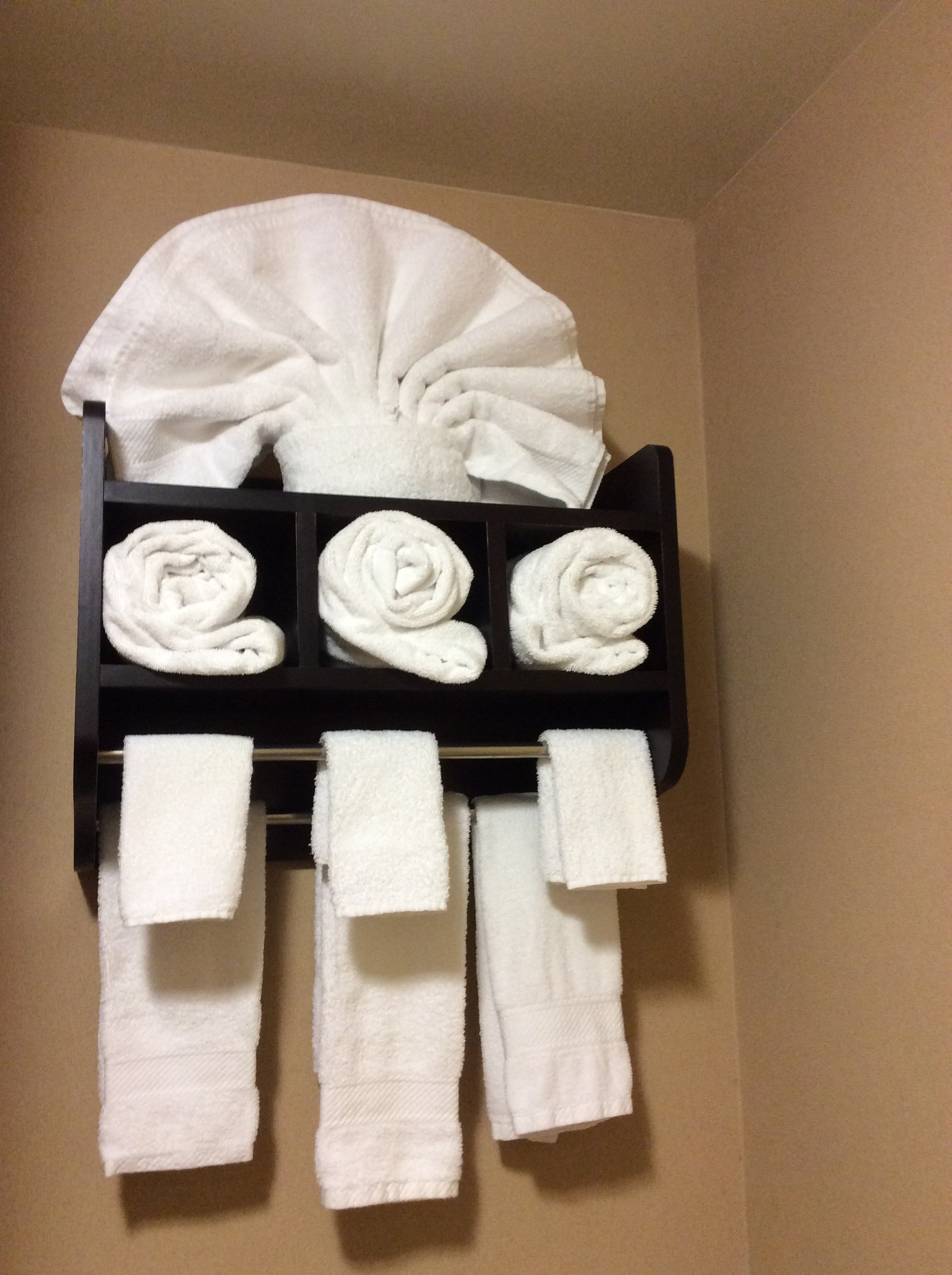 Hampton Inn & Suites Scottsboro-浴室