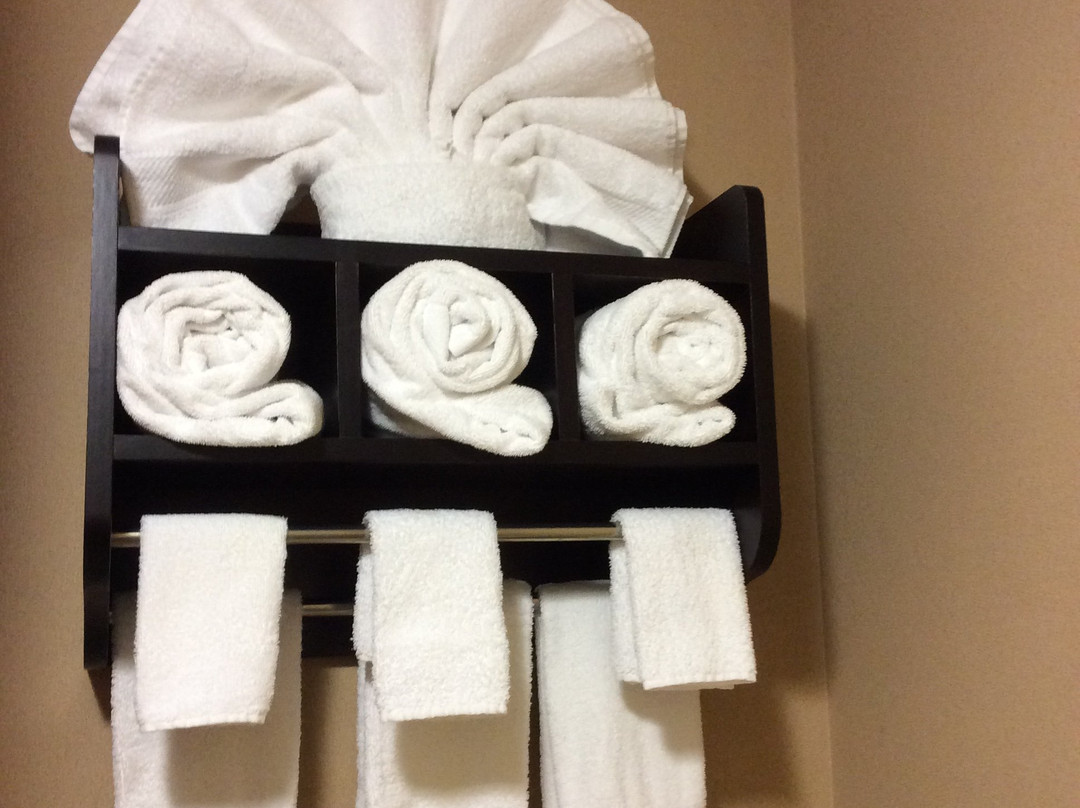 Hampton Inn & Suites Scottsboro主图