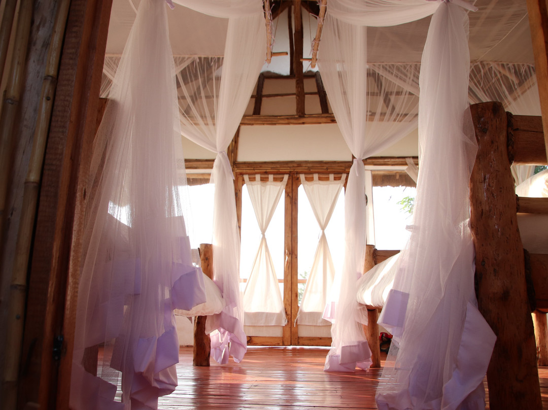 Mambo Gorilla Safari Uganda-吉佳利必去景点