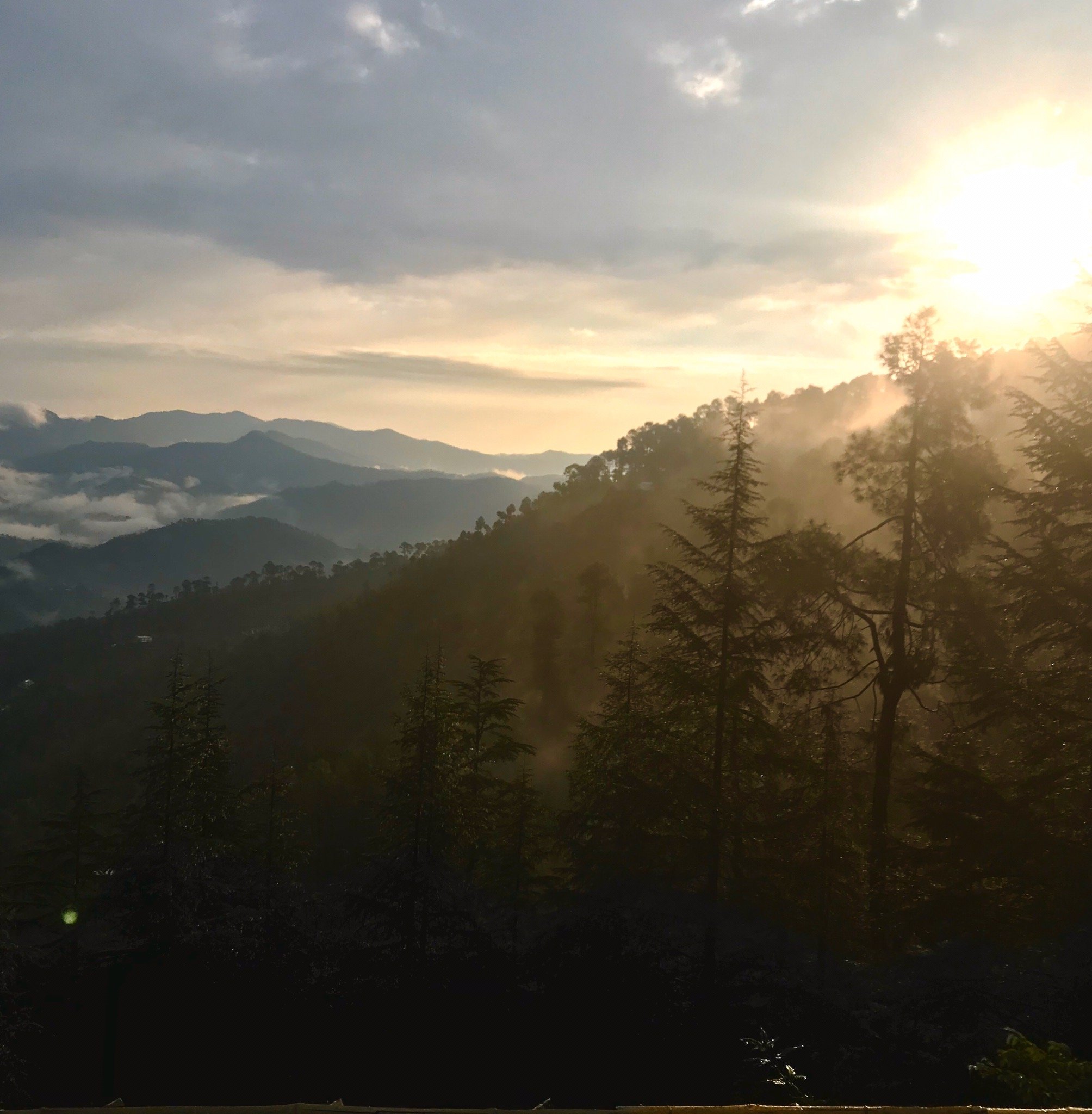 Deodar's Guest House-官方