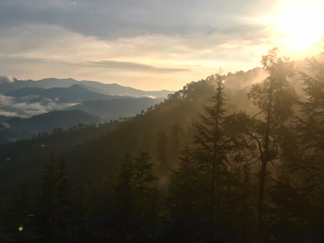 Deodar's Guest House主图