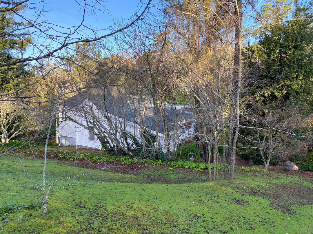 Belle de Jour Inn主图