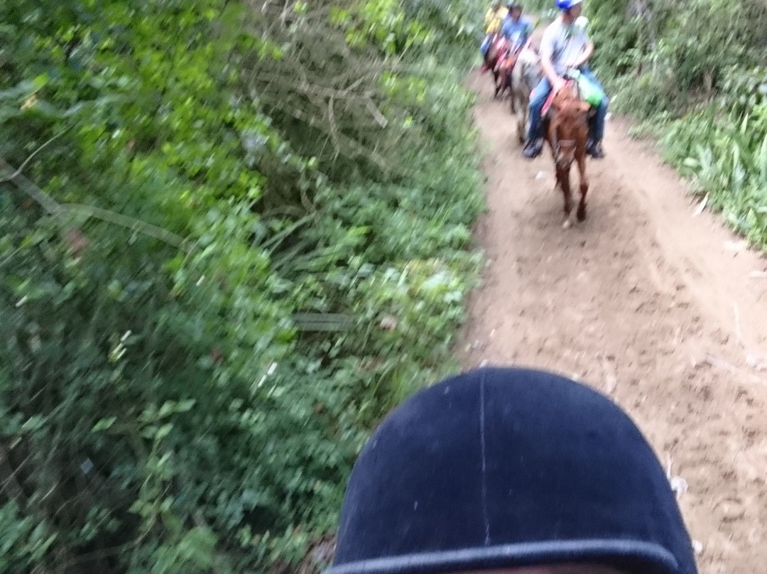 Rancho Salvaje-普拉塔港必去景点