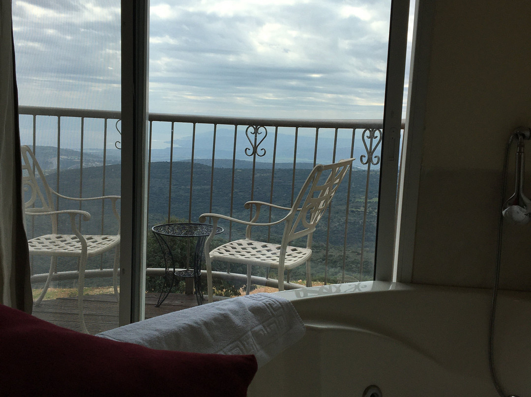 阿米雷哈加利精品酒店主图