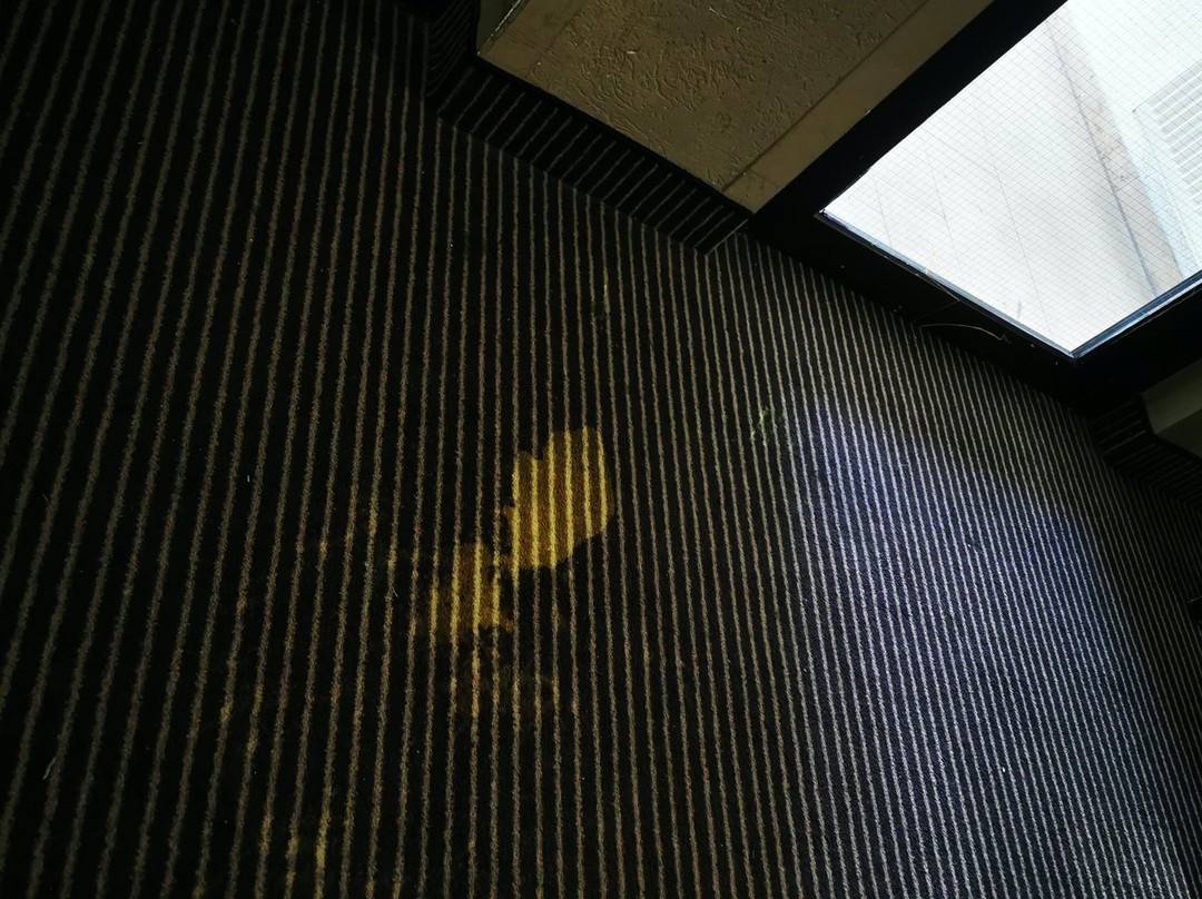 布莱梅翰希蒂克美居酒店主图