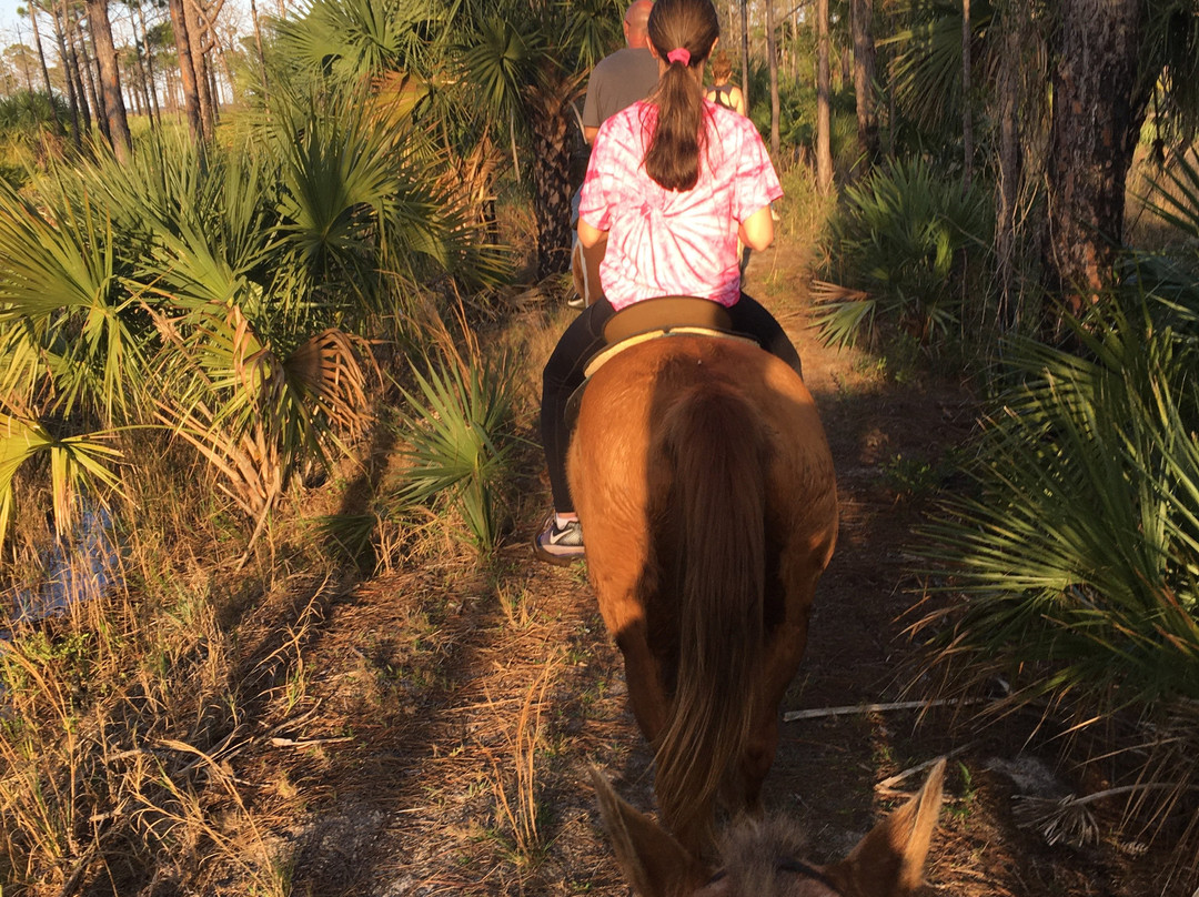 Angel's Appy Acres-维罗海滩必去景点