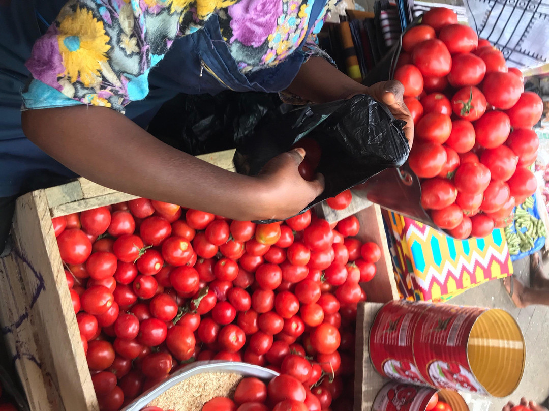 Root Tour Ghana-库马西必去景点
